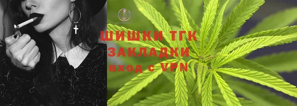 эйфоретик Богданович