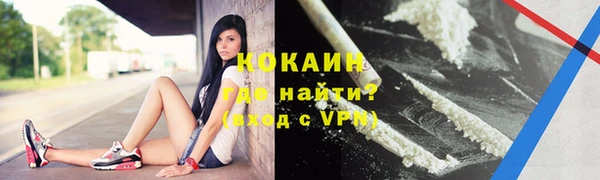эйфоретик Богданович
