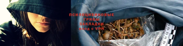 apvp Богородск