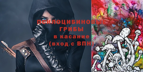 apvp Богородск