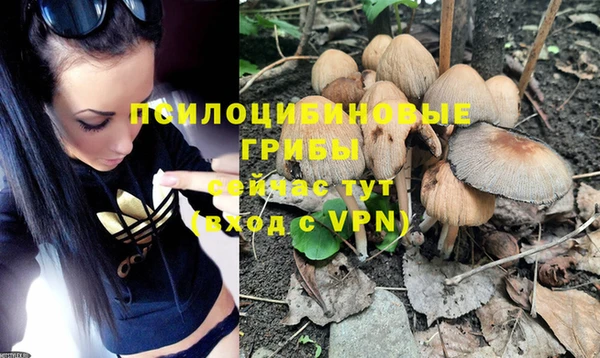 эйфоретик Богданович