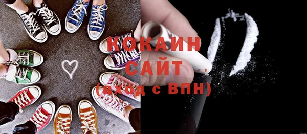 эйфоретик Богданович