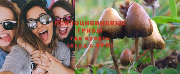 эйфоретик Богданович
